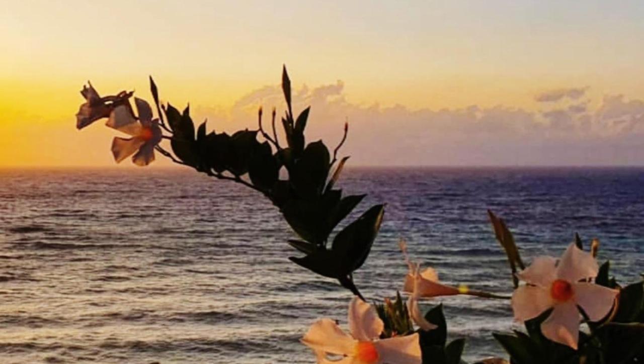 Gallipoli Mancaversa Futura Vacanza Andrea مارينا دي مانكافيسا المظهر الخارجي الصورة