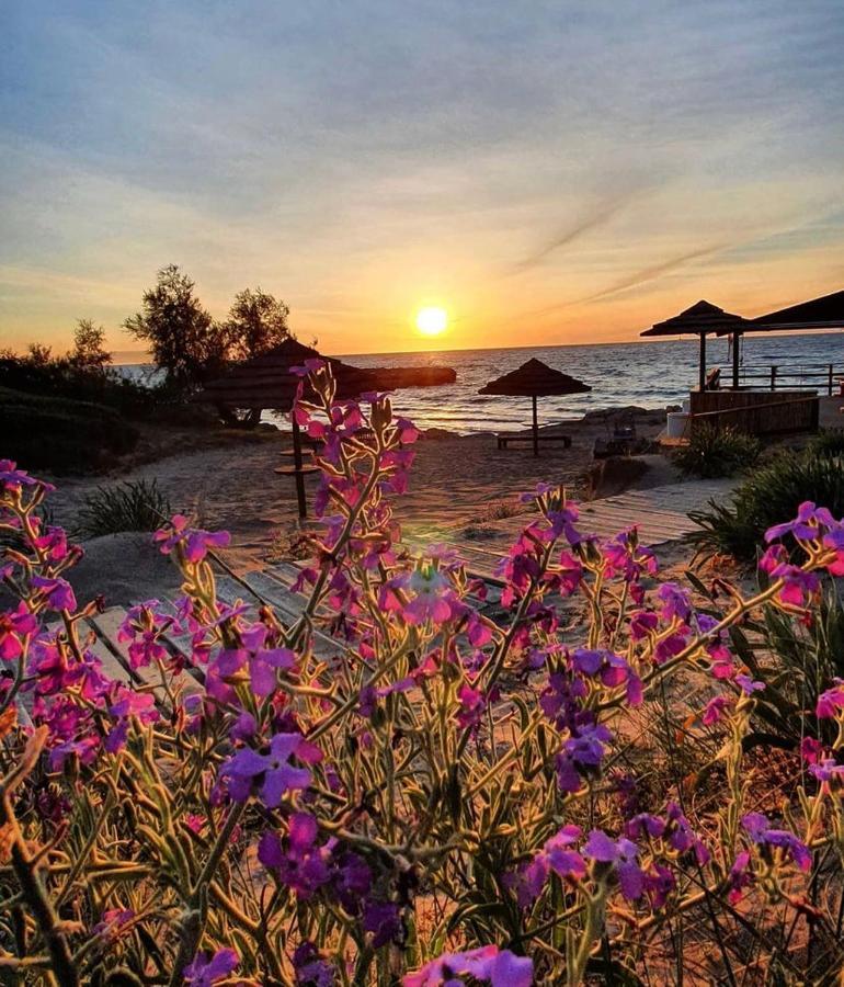 Gallipoli Mancaversa Futura Vacanza Andrea مارينا دي مانكافيسا المظهر الخارجي الصورة